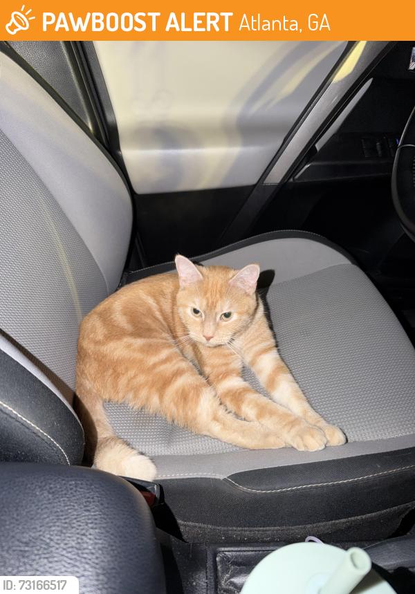 Found/Stray Female Cat last seen Near Angier Ave, Atlanta, GA 30312