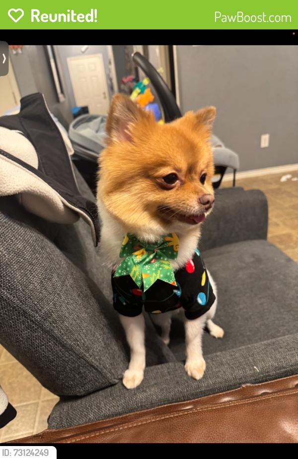 Reunited Male Dog last seen E Grubb Dr, Mesquite, TX 75149