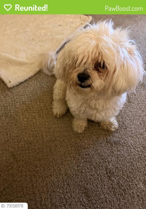 Reunited Male Dog last seen Unknown, Sanger, CA 93657