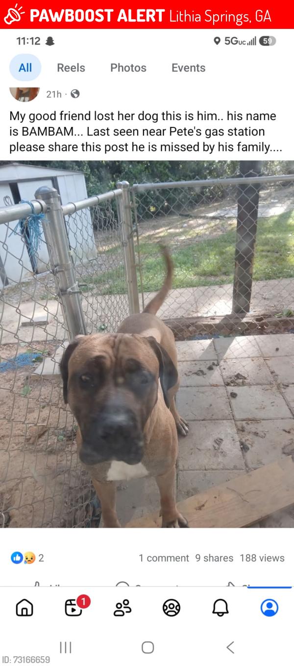 Lost Male Dog last seen Ambassador dr, Lithia Springs, GA 30122