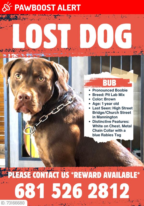 Lost Male Dog last seen High Street Bridge/ Church Street Mannington, Mannington, WV 26582