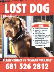 Lost Male Dog last seen High Street Bridge/ Church Street Mannington, Mannington, WV 26582