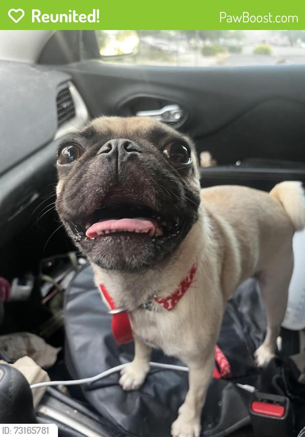 Reunited Male Dog last seen Near S 35th Ave Laveen, AZ 85339 United States, Phoenix, AZ 85339