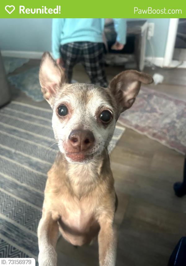 Reunited Male Dog last seen LINKIN PARK AREA, Kenosha, WI 53143