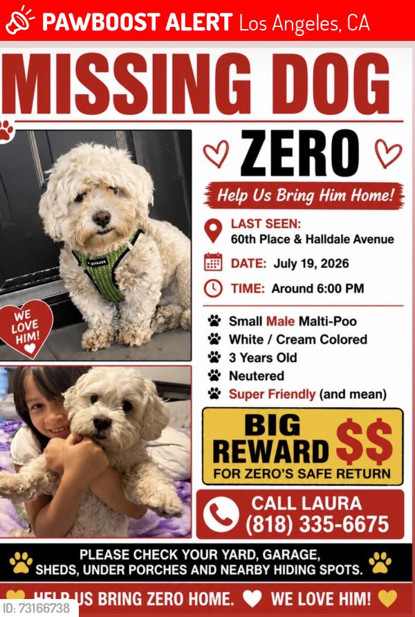Lost Male Dog last seen Normandie and 60th pl, Los Angeles, CA 90044