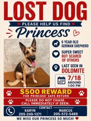 Lost Female Dog last seen Dolomite- Westfield Park, Birmingham, AL 35061