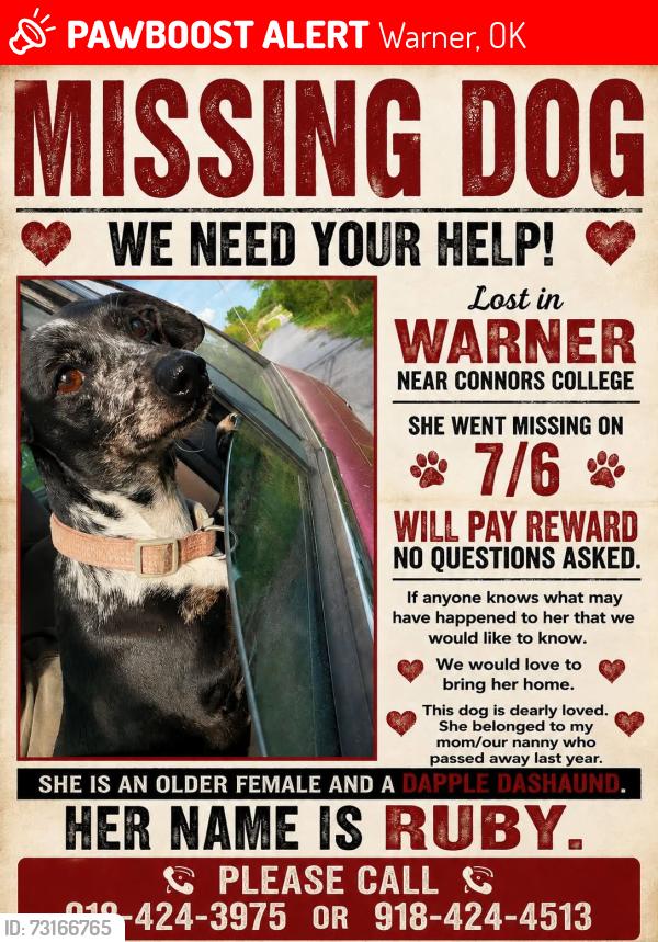 Lost Female Dog last seen Conners College area, Warner, OK 74469