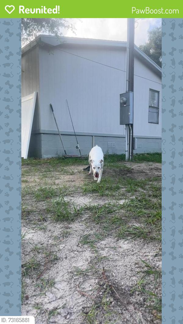 Reunited Male Dog last seen Shady hills, Shady Hills, FL 34610