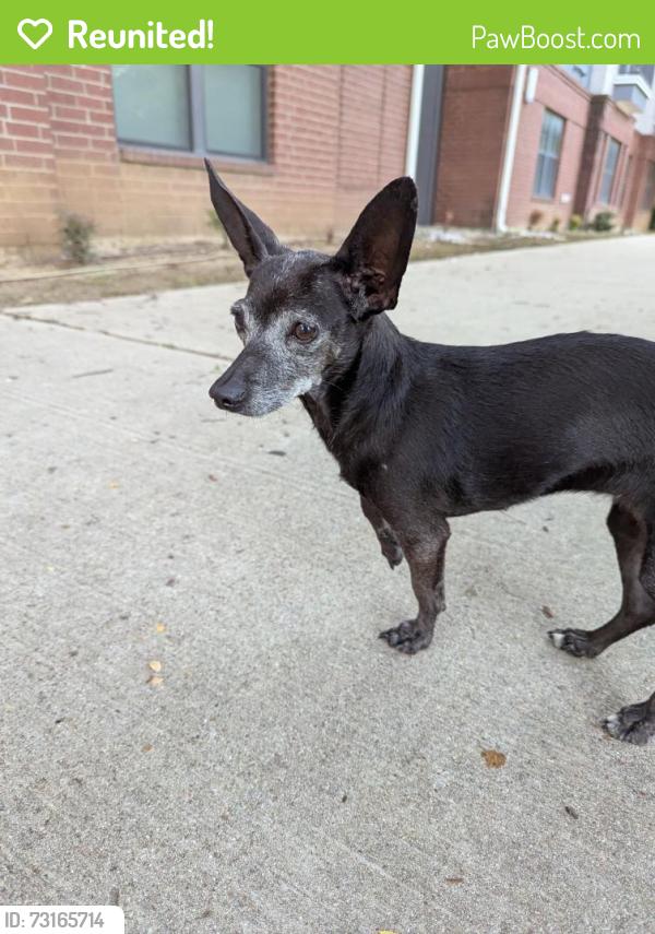 Reunited Female Dog last seen Abram and S Davis, Arlington, TX 76013