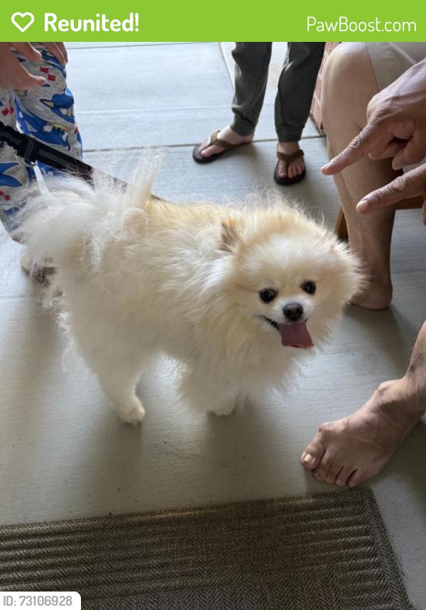 Reunited Unknown Dog last seen Autumn Glen, French Valley, CA 92596
