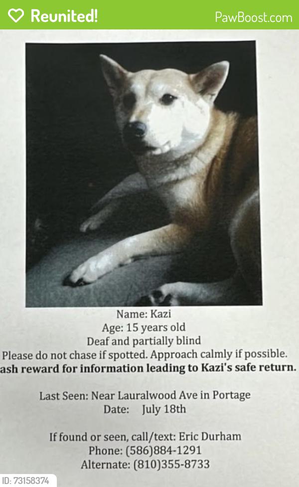 Reunited Male Dog last seen Laurelwood, portage rd, Portage, MI 49024