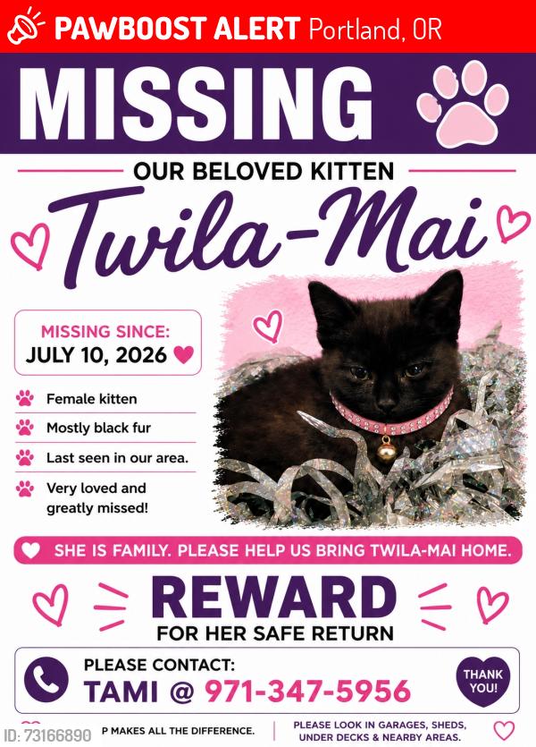 Lost Female Cat last seen 128gh and alder se, Portland, OR 97214