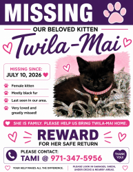 Lost Female Cat last seen 128gh and alder se, Portland, OR 97214