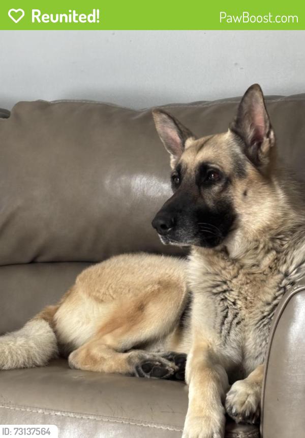 Reunited Male Dog last seen Near barberry st, Memphis, TN 38128