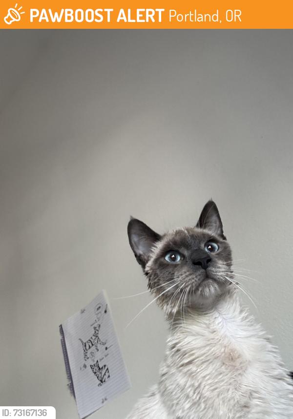 Found/Stray Unknown Cat last seen S.E. 48th, Portland, OR 97206