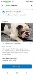 Lost Male Dog last seen Shirebourn/eucalyptus, Moreno Valley, CA 92553