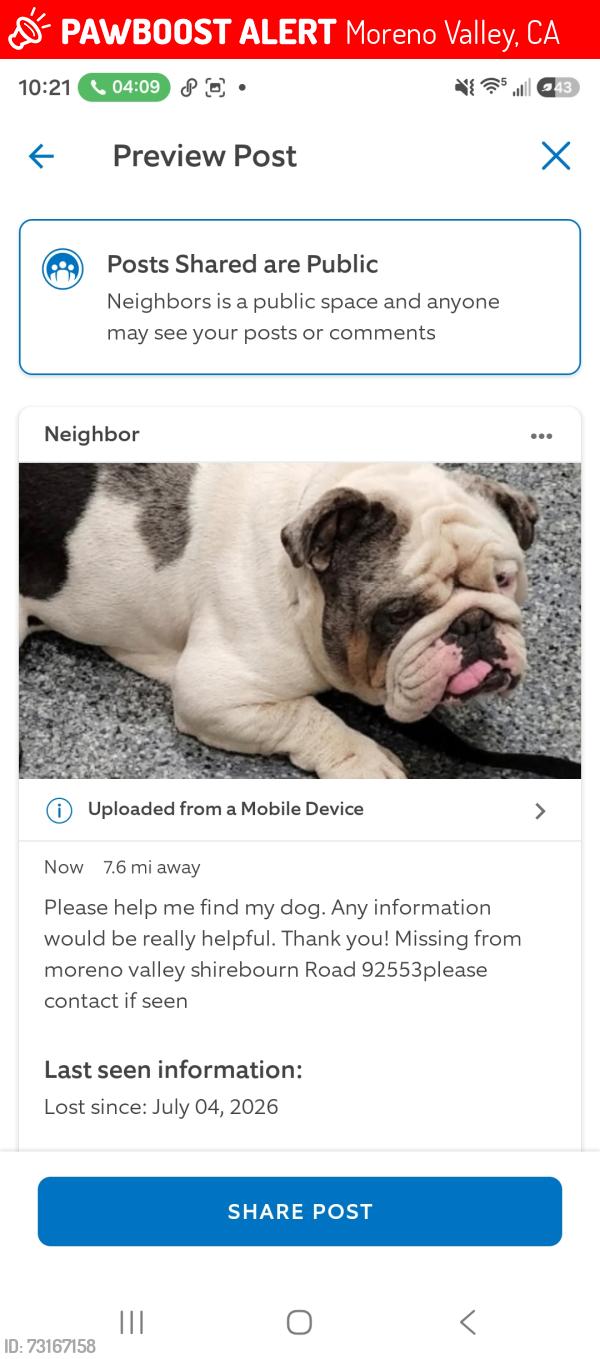 Lost Male Dog last seen Shirebourn/eucalyptus, Moreno Valley, CA 92553