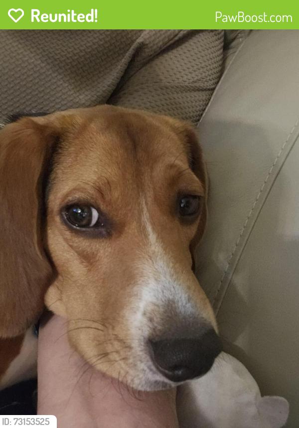 Reunited Male Dog last seen Winston Churchill Blvd& Aquitane Ave, Mississauga, ON L5N 2C7