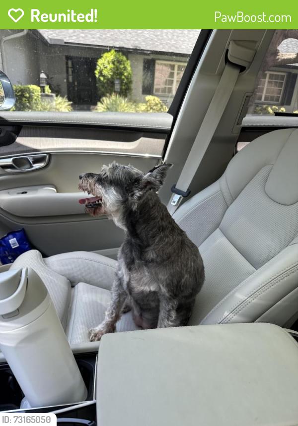 Reunited Female Dog last seen Jacaranda is east golf course near hole 2, Plantation, FL 33324