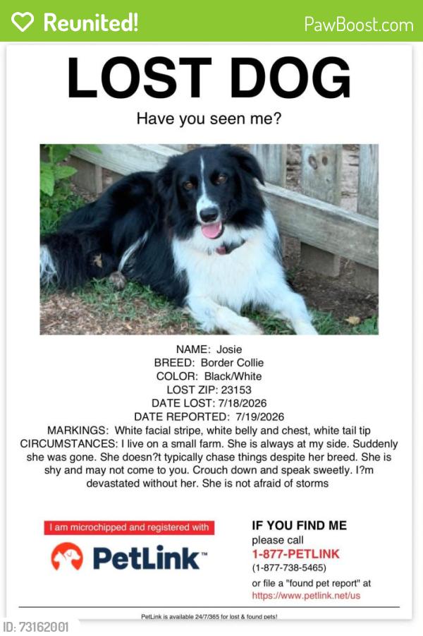 Reunited Female Dog last seen Hadensville,VA, Goochland County, VA 23153