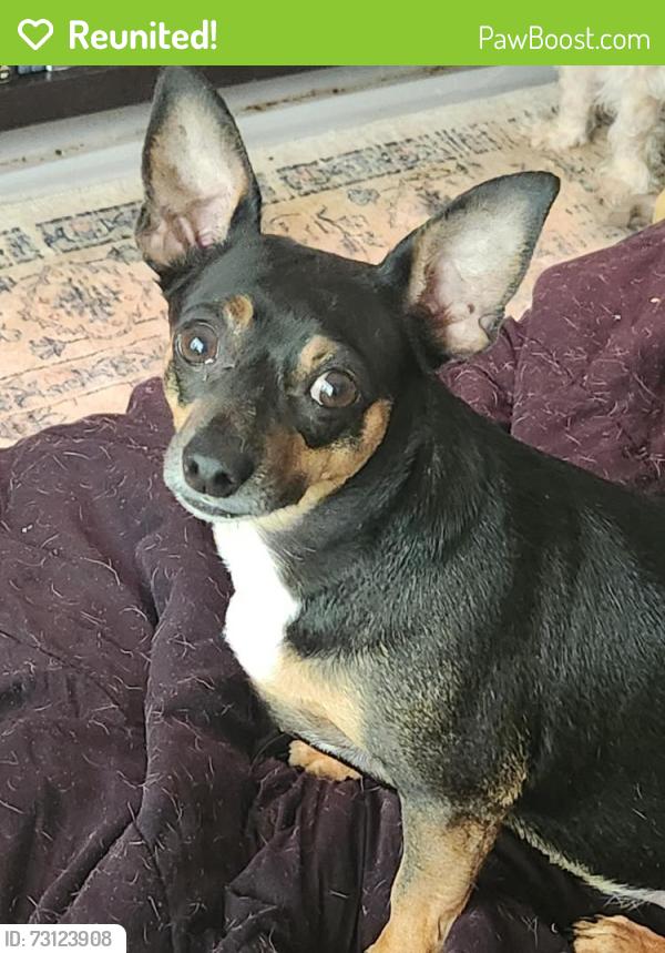 Reunited Male Dog last seen Cedar Creek Rd, Richland County, SC 29016