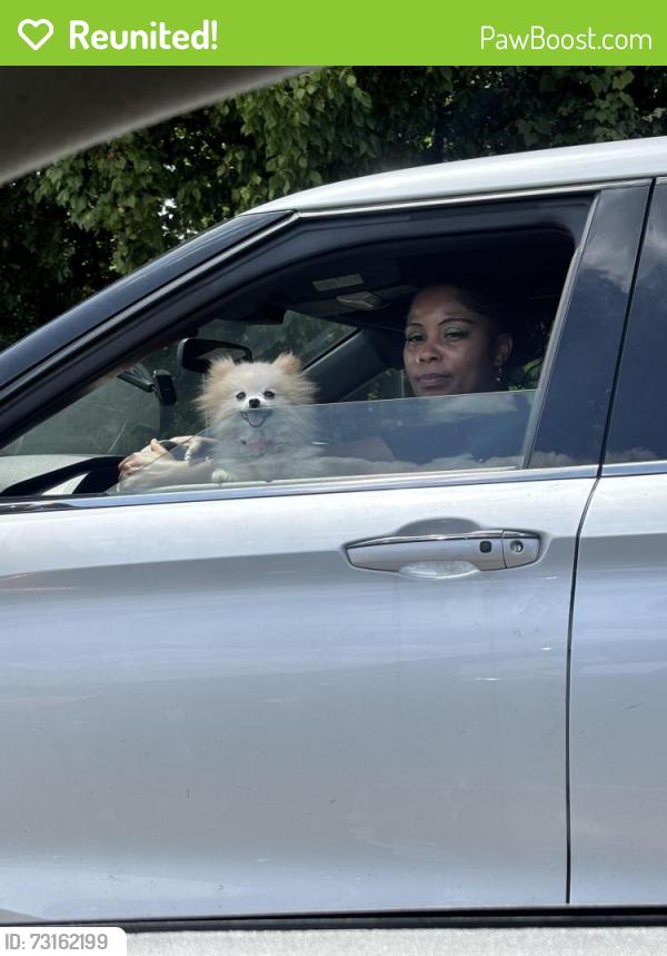 Reunited Female Dog last seen monessen and landson, Memphis, TN 38128