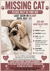Lost Female Cat last seen Grove Road Blaby, Blaby, England 
