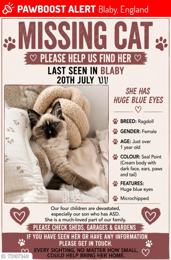 Lost Female Cat last seen Grove Road Blaby, Blaby, England 
