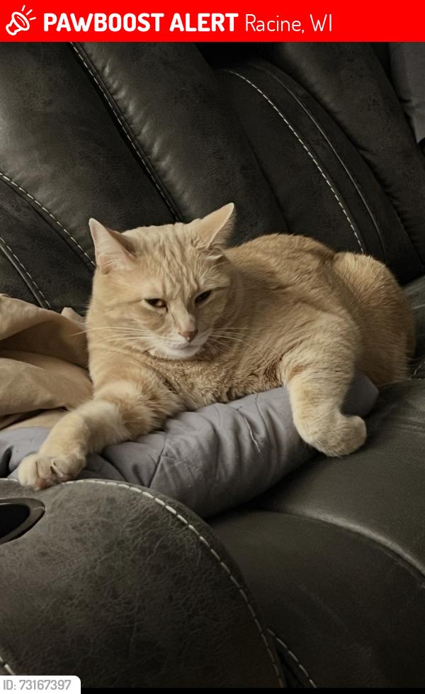 Lost Male Cat last seen Humble Park, Racine, WI 53405