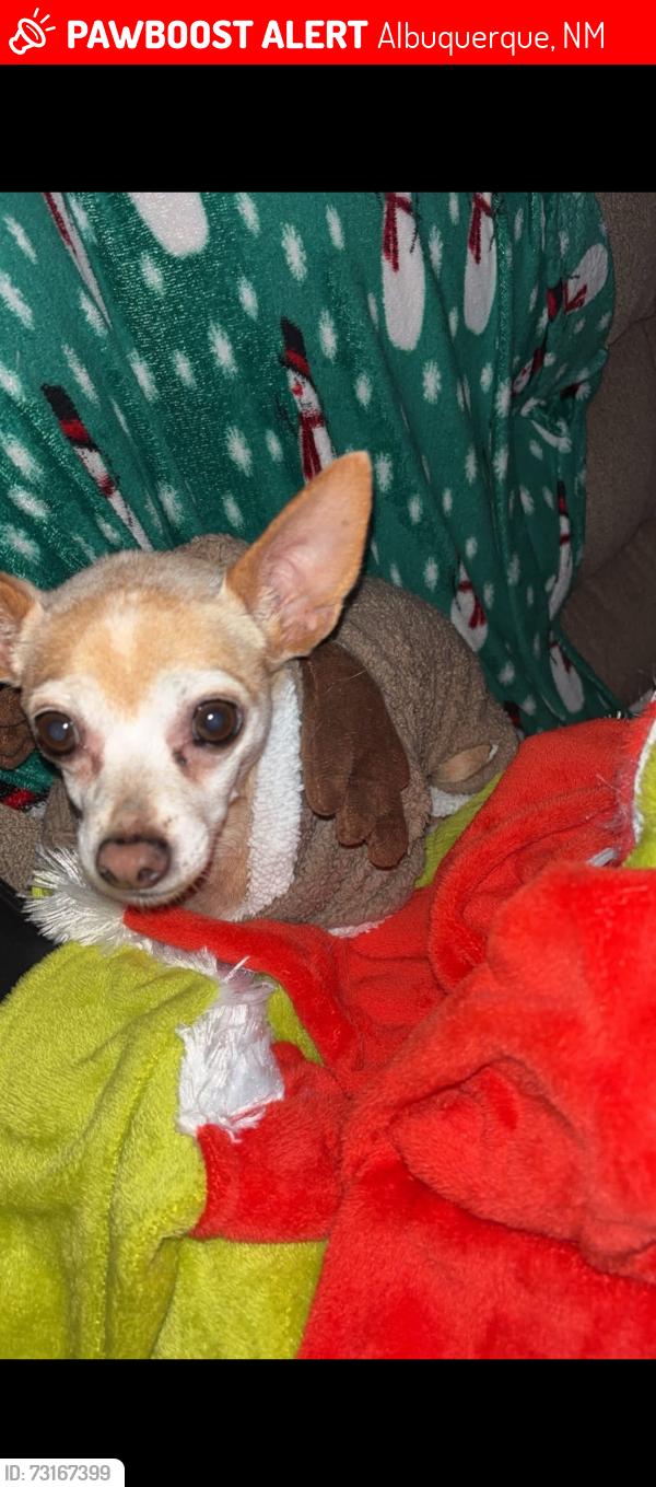 Lost Male Dog last seen Isleta & arenal, Albuquerque, NM 87105