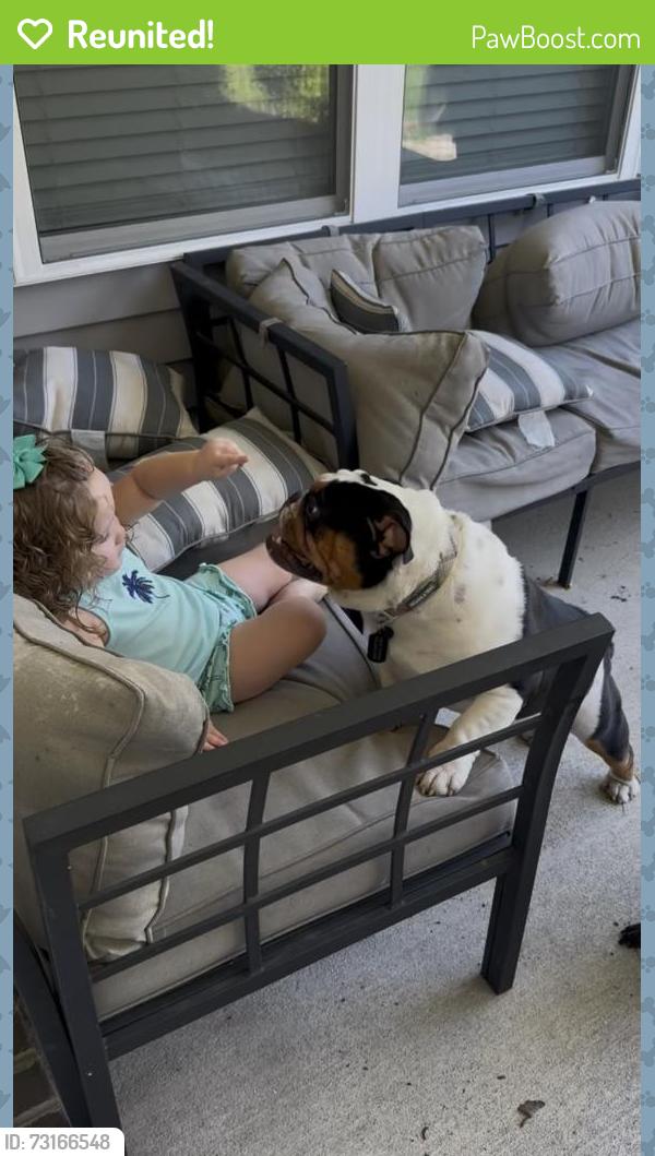 Reunited Male Dog last seen McCaskill & 15/501, Carthage, NC 28327