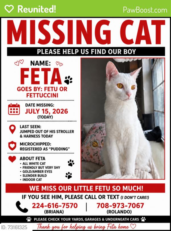 Reunited Male Cat last seen Atkinson rd, Lake Bluff, IL 60044