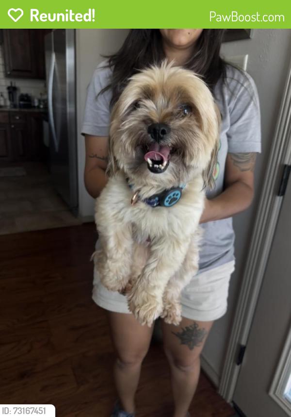 Reunited Male Dog last seen Near Woodcrest Dr, Bryan, TX 77802, USA, Bryan, TX 77802