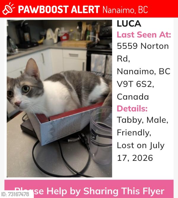 Lost Male Cat last seen Hammond Bay area, Nanaimo, BC 