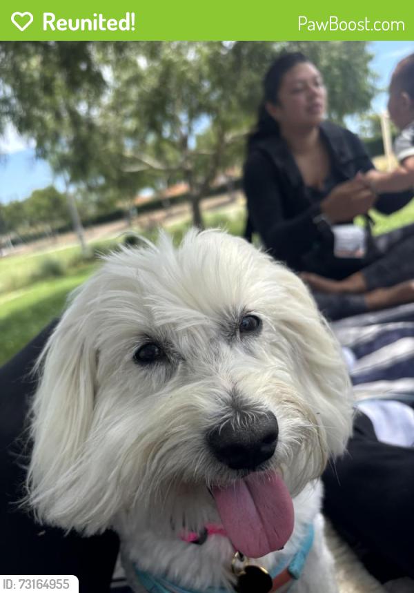 Reunited Female Dog last seen Barry St & Leon St by Melba Bishop Park, Oceanside, CA 92057