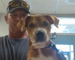 Shelter Stray Unknown Dog last seen FOUND AT THE APT WHERE THEY LIVE, 2811 SE 29th St, Oklahoma City, OK 73129, USA