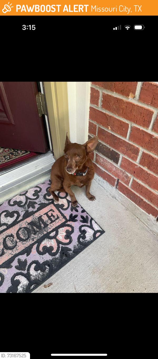 Found/Stray Unknown Dog last seen Enchanted Rock Lane and Preserve Lane, Missouri City, TX 77459