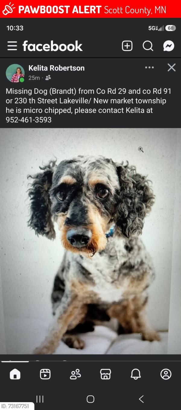 Lost Male Dog last seen 230th street east Lakeville mn, Scott County, MN 55020