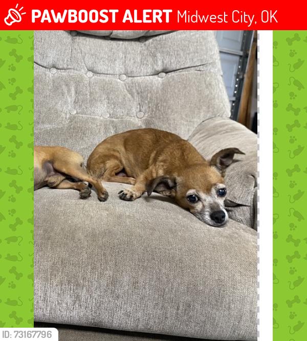 Lost Female Dog last seen Near e key blvd, Midwest City, OK 73110