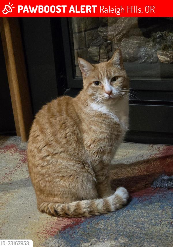 Lost Male Cat last seen Olsen cor Dover Ct, Raleigh Hills, OR 97221