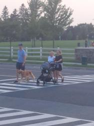 Lost Female Dog last seen River road McClung rd, Haldimand, ON 
