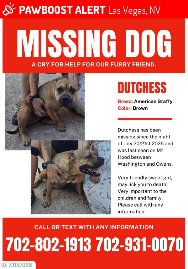 Lost Female Dog last seen Mt Hood between Washington and Owens, Las Vegas, NV 89110
