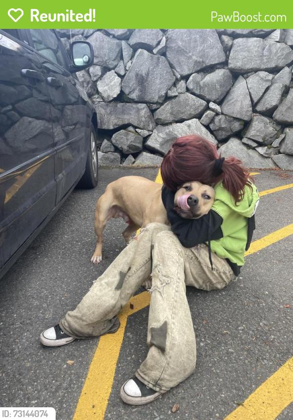 Reunited Male Dog last seen 112th and 121st and aqueduct, Tacoma, WA 98445