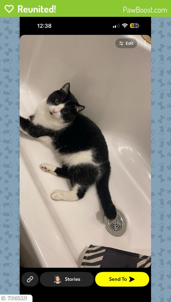 Reunited Male Cat last seen Edgartown Ct, Park ridge, Mobile, down the street from woodmans, Madison, WI 53719