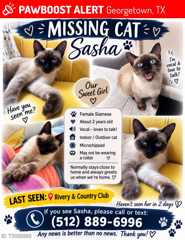 Lost Female Cat last seen Williams drive and parkway area., Georgetown, TX 78628