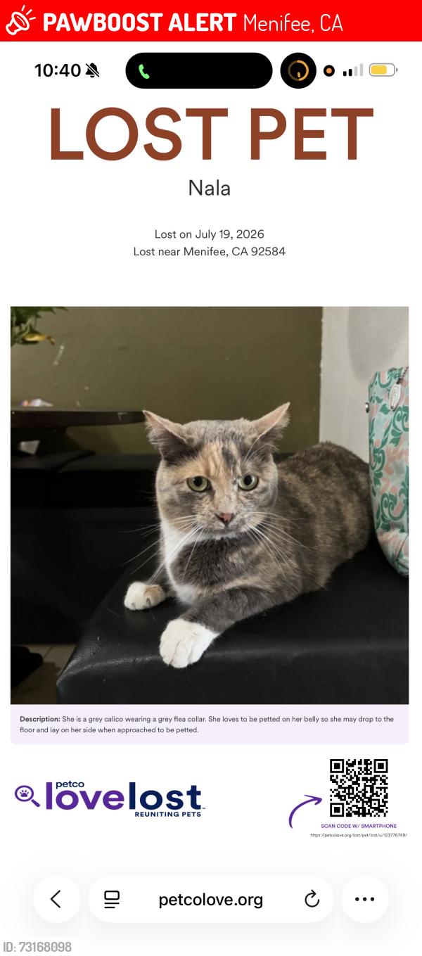 Lost Female Cat last seen Murrieta Rd and Rolling Hills Dr, Menifee, CA 92584