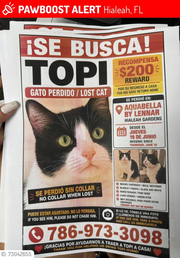 Lost Male Cat last seen Near w 32 nd ln, Hialeah, FL 33018