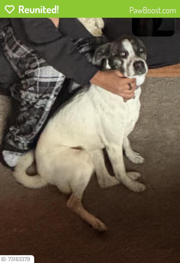 Reunited Female Dog last seen Earlier and westech, Shawnee, OK 74804
