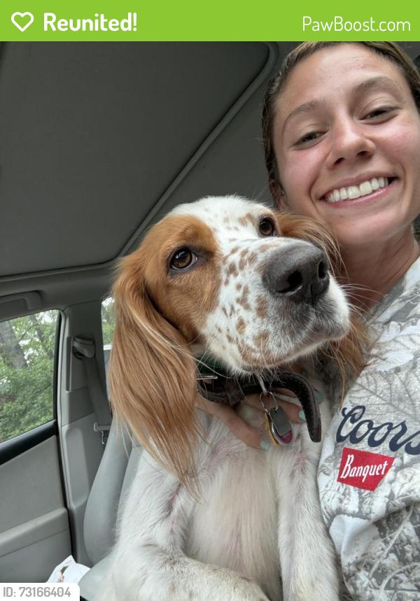 Reunited Female Dog last seen Alert, Franklin County, NC 27589