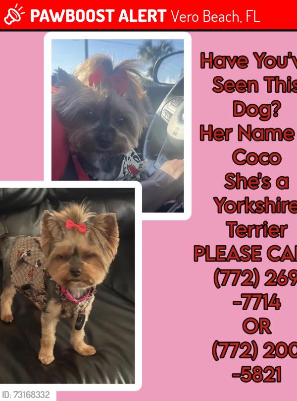 Lost Female Dog last seen The highlands Vero Beach, Vero Beach, FL 32962